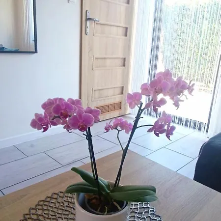 Habitación en casa particular Gracja Przy Plazy Rogowo (Gryfice)